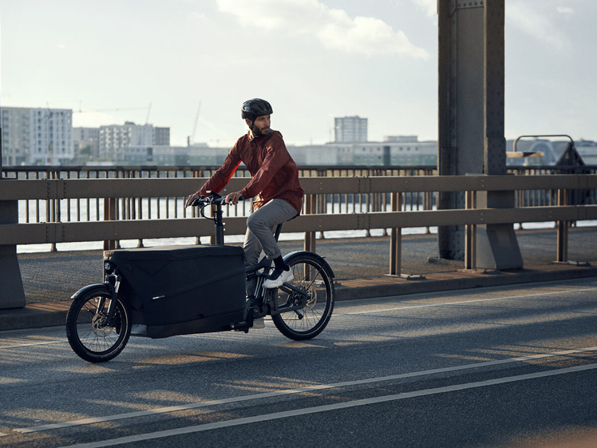 RIESE MÜLLER PACKSTER 70 FAMILY Lastenrad